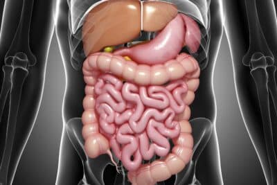 Espanha: 8 em cada 10 pessoas com doenças gastrointestinais sofrem de ansiedade