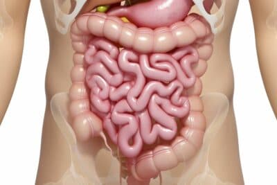 Colitis ulcerosa: innovador tratamiento que podría frenar la inflamación intestinal