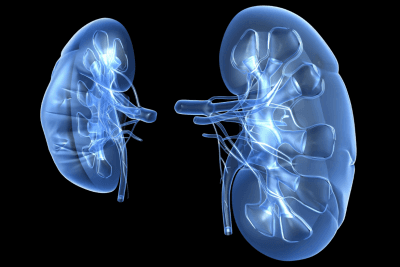 Los enemigos ocultos en la enfermedad renal crónica
