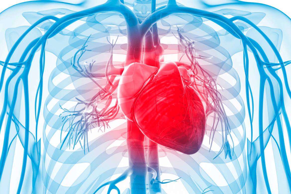 Tratamento para cardiomiopatia hipertrófica obstrutiva em estudo
