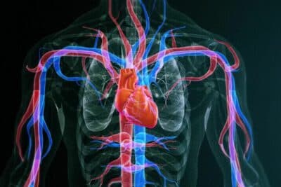 Insuficiência cardíaca e obesidade: como o excesso de peso impacta o coração